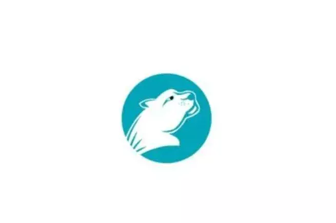 猎豹加速器评测2025：猎豹加速器永久免费破解版APP官网下载